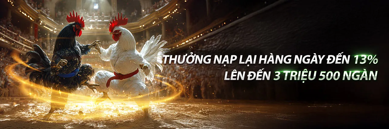 Đá Gà Trực Tuyến VT88 - Sân Chơi Hấp Dẫn 2026